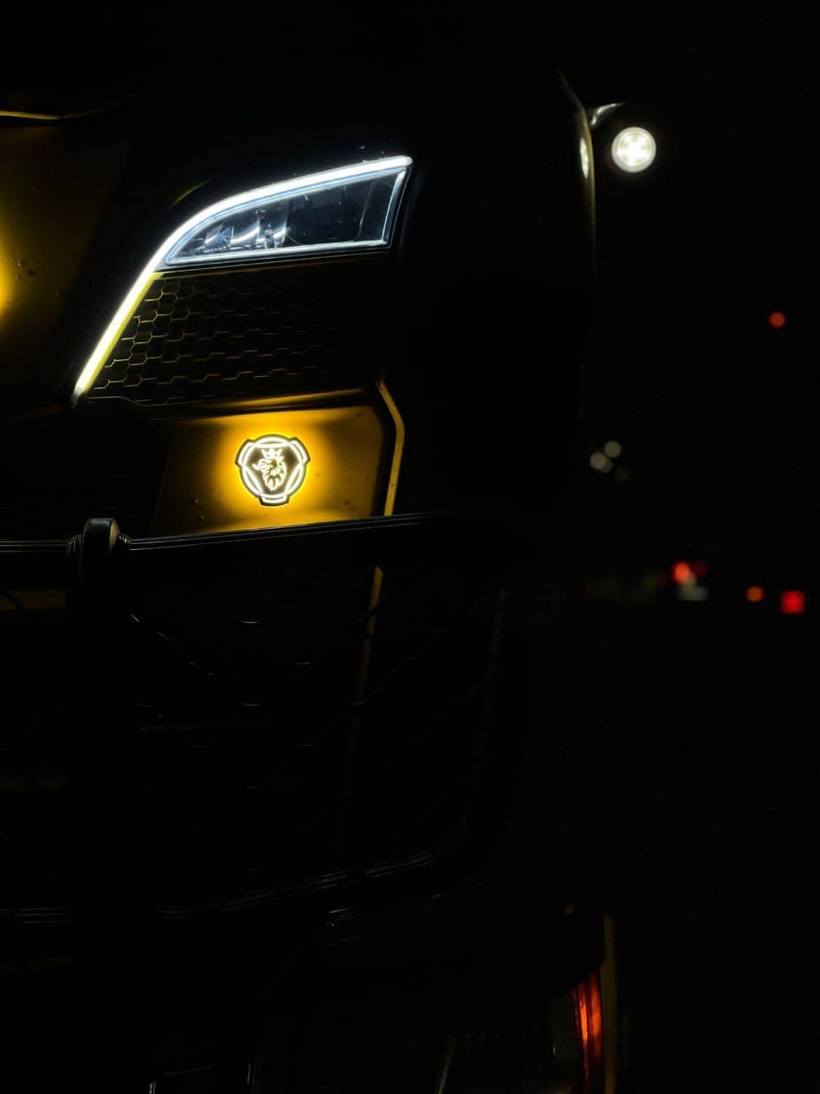 LED podsvícený znak GRIFFIN 24V, Oranžová 2ks