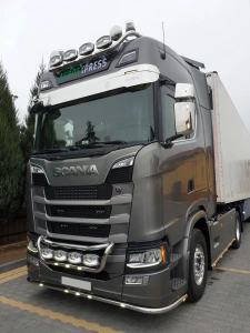 Neon Skyled PRO Scania S/R New generation, 28x120cm