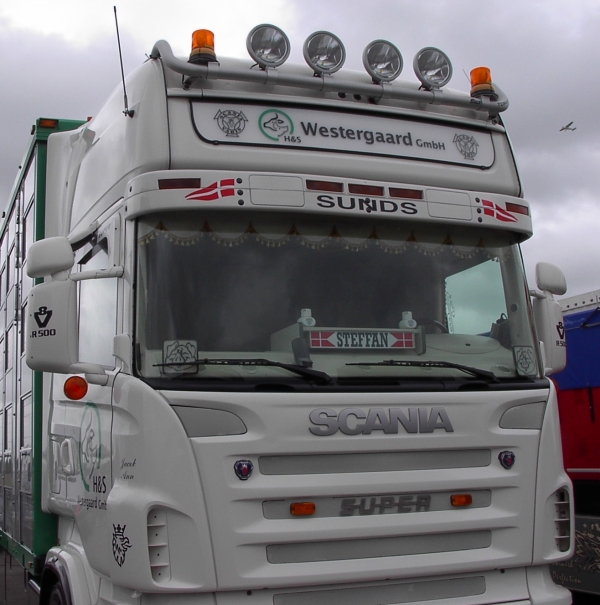 Neon Skyled PRO Scania Topline, 25x165cm