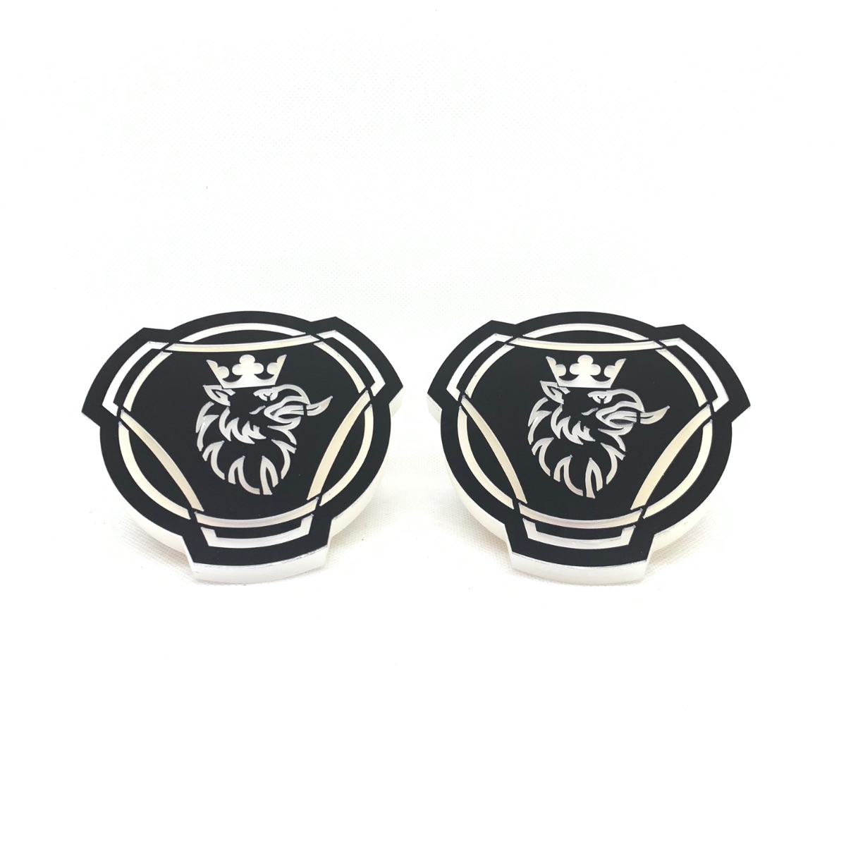 LED podsvícený znak GRIFFIN 24V, Studená bílá 2ks