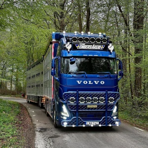 Sluneční clona Volvo 5 výřezů, FH/FM 4/5 a FMX 31,5 cm